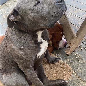 Meet your Posher, Christo